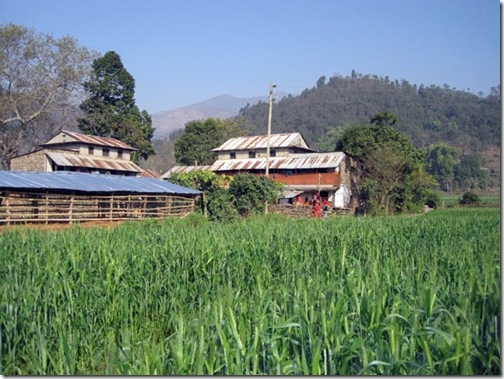 Aarughat-village