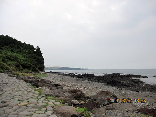 여름휴가 맞아 떠난 올레길. 제주여행 (Jeju island travel)[제주도,올레8코스,jeju island,곽지해수욕장,중문,여름휴가,피서]