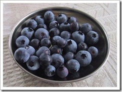 09182003_blueberries
