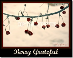 Berry Grateful CP