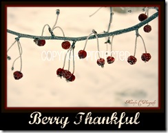 Berry Thankful CP