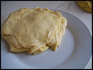 SV109303 SV109303