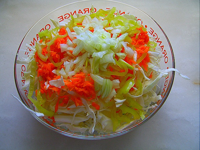 [SV1010254.jpg]