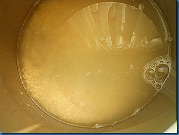 DSCN3919 DSCN3919