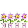 flor04.png