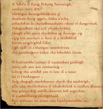 Myrecig Manuscript Dmn172310