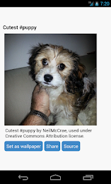 Dog Wallpapers by Right Brain Mobile poster 3