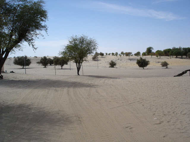 DSC02362.JPG