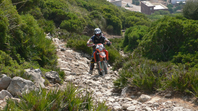 P1080260.JPG