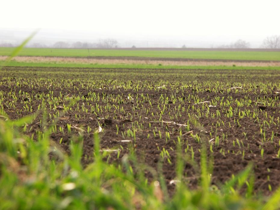 [PICT0065_re[2].jpg]