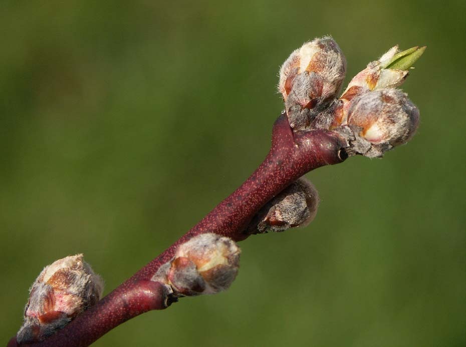 [PICT0012_re[1].jpg]