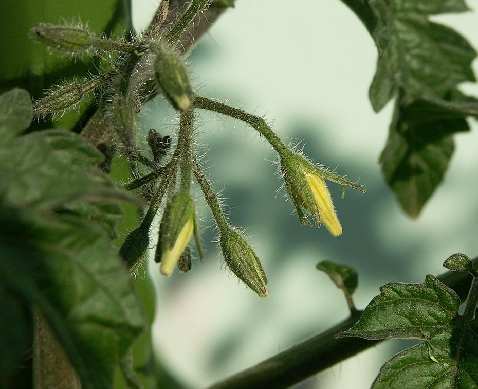 [PICT0208_re[2].jpg]