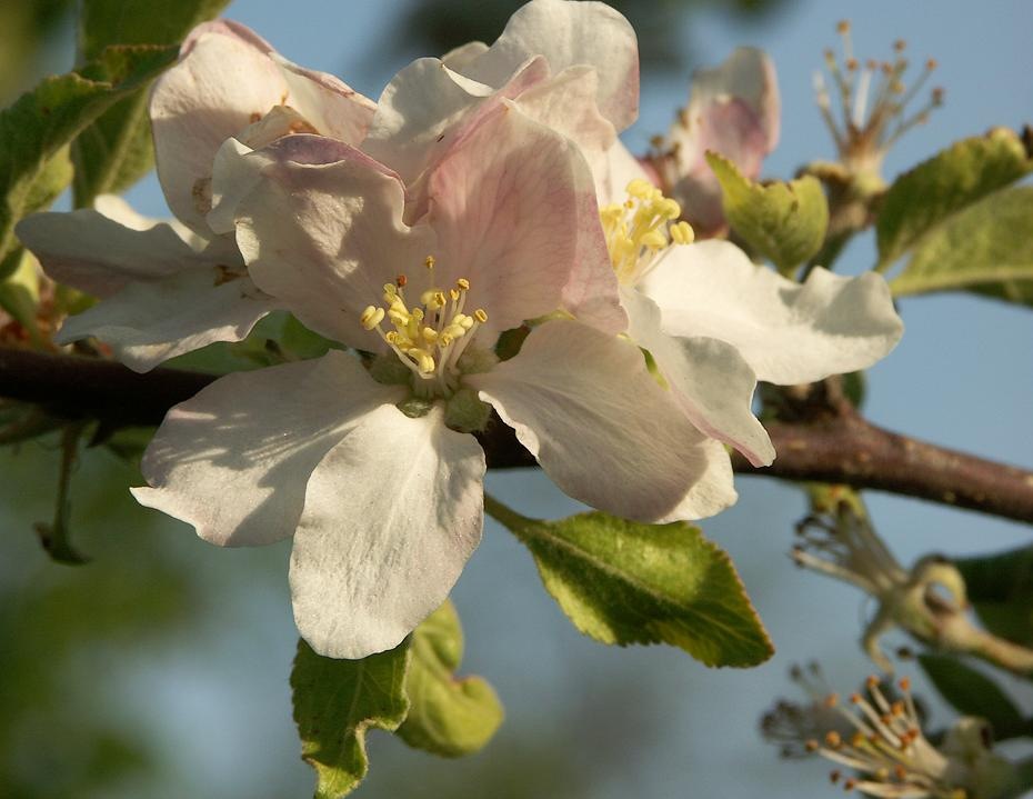 [PICT0242_re[2].jpg]