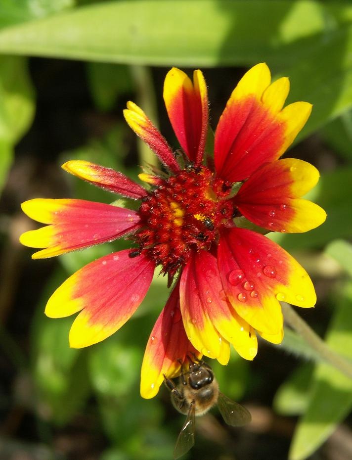 [PICT0500_re[2].jpg]