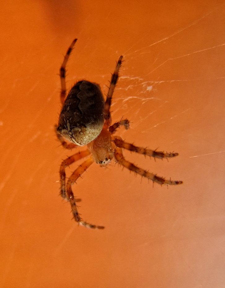 [DSCF0645_re[2].jpg]