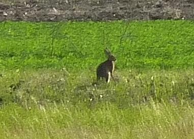 [P1000798_re[2].jpg]