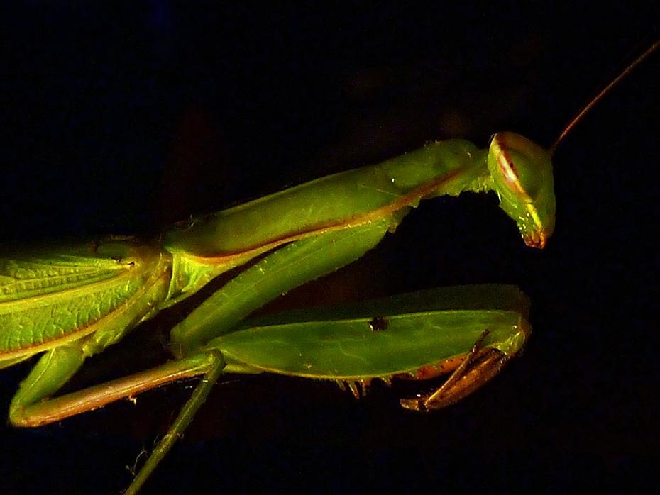 [P1000856_re[2].jpg]