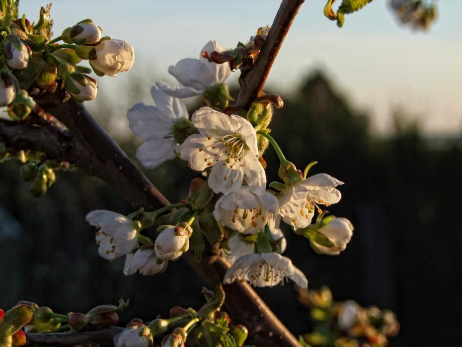 [DSCF2663_re[2].jpg]