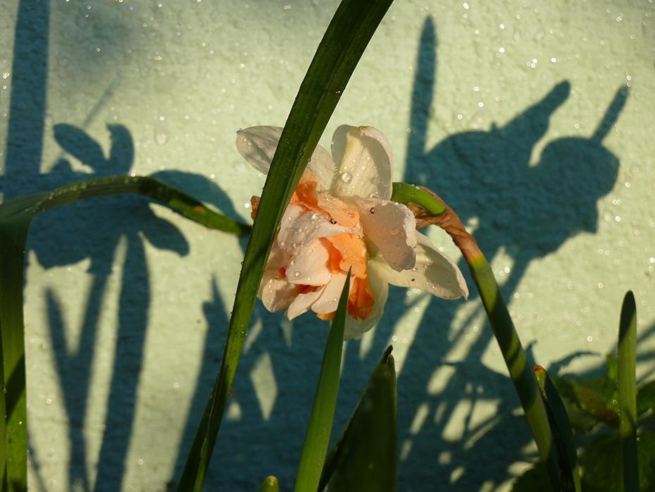 [P1040781_re[2].jpg]