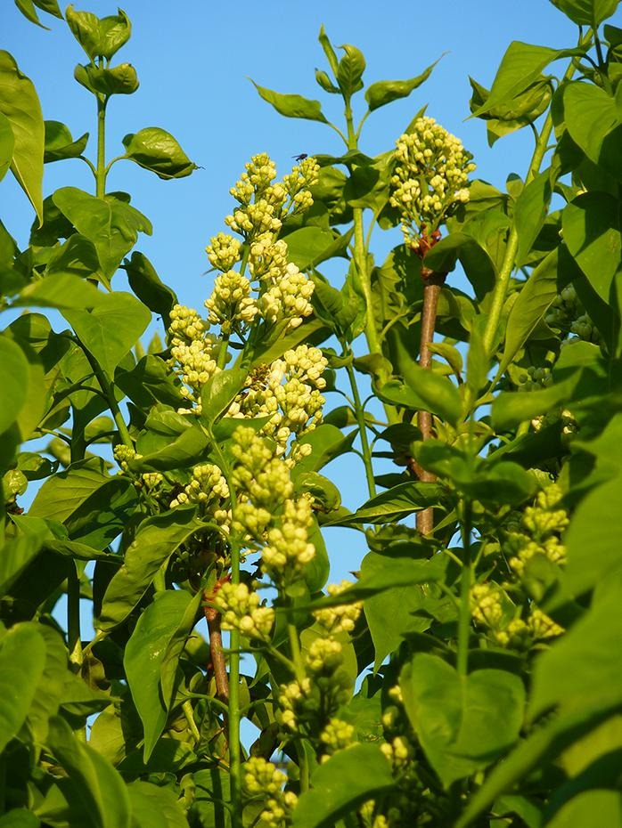 [P1040789_re[2].jpg]