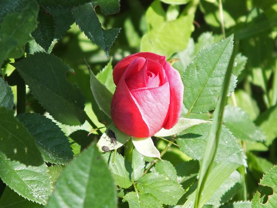 [DSCF0022_re[2].jpg]