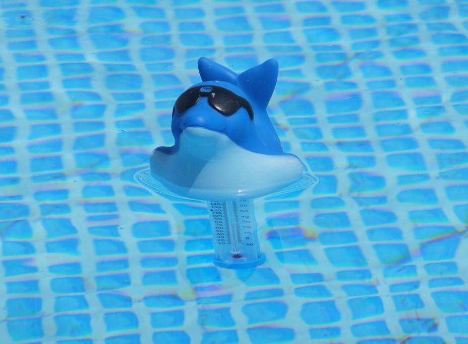 [DSCF0035_re[2].jpg]