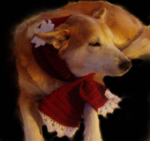 [daisy red scarf w snowflake[2].png]