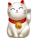 Dr.Cat Accounting logo