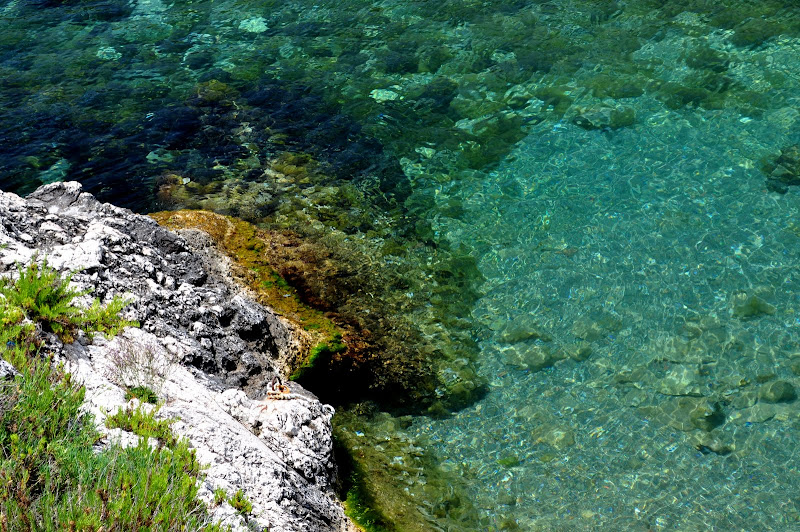 DSC_0599.JPG