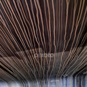 keel striations v3 by Jerry Houle - Abstract Water Drops & Splashes