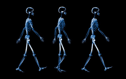 wallpapers hd widescreen high quality desktop. desktop wallpaper hd