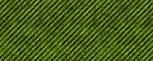 [grungewarningstripeslimegreenfreetwi[1].jpg]