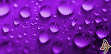 Dew Drops Purple Theme Xperien APK