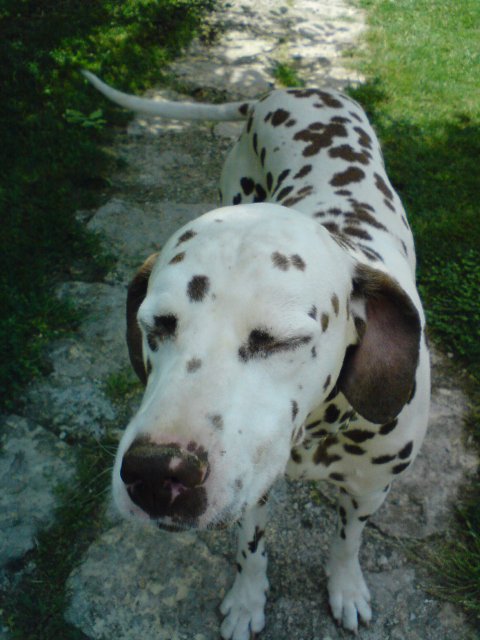 DSC00003.JPG
