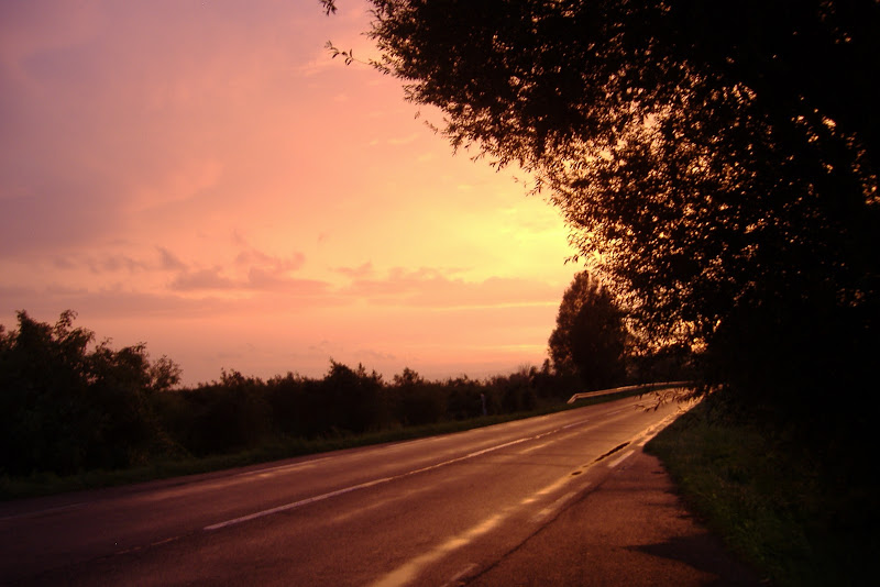 DSCF5572.JPG