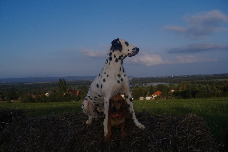 DSCF5612.JPG