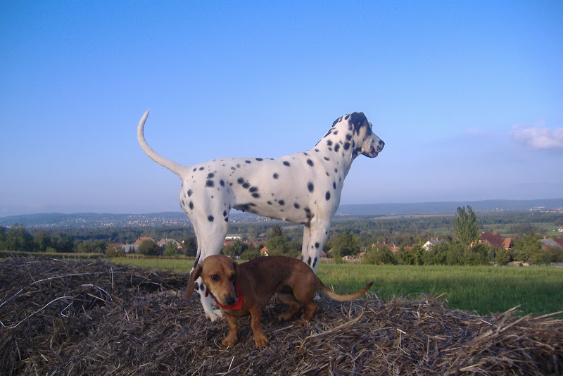 DSCF5610.JPG