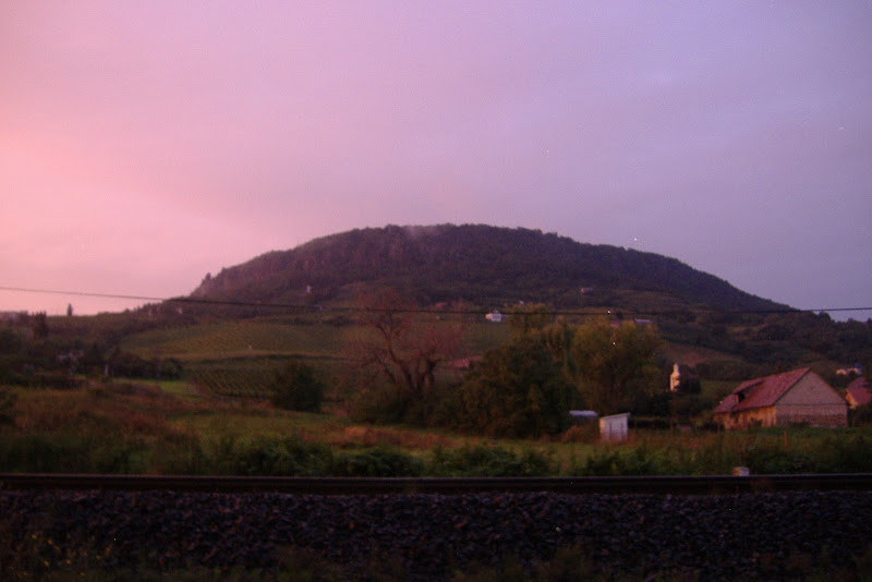 DSCF5575.JPG