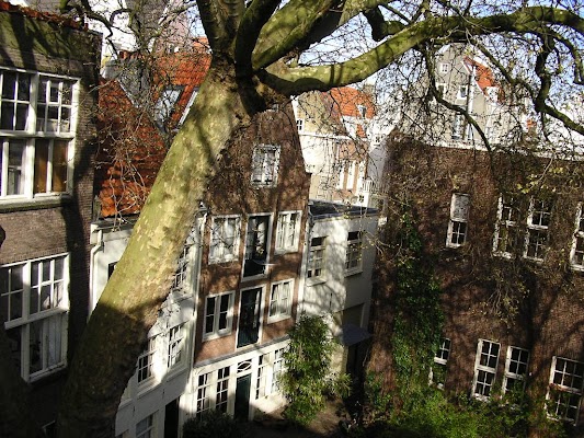 Imagini Olanda: Hotel 83 Amsterdam pe geam.JPG