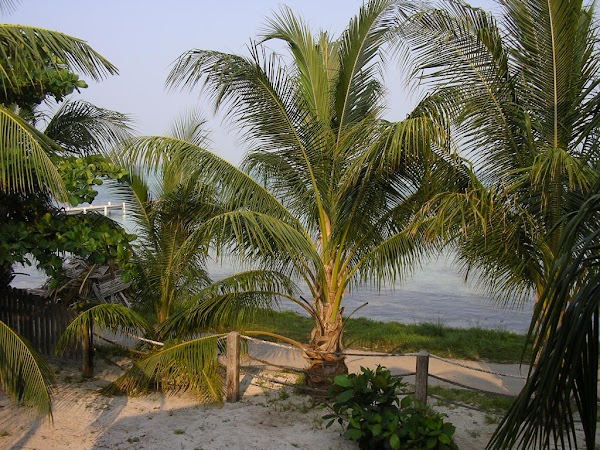 3. in curtea motelului.JPG