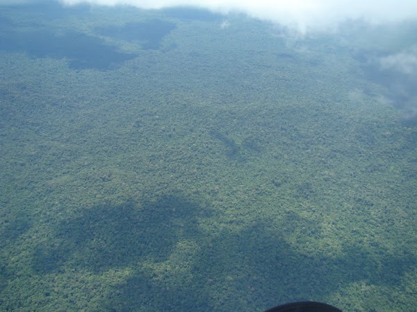 Obiective turistice Venezuela: imagine din avion Canaima.JPG