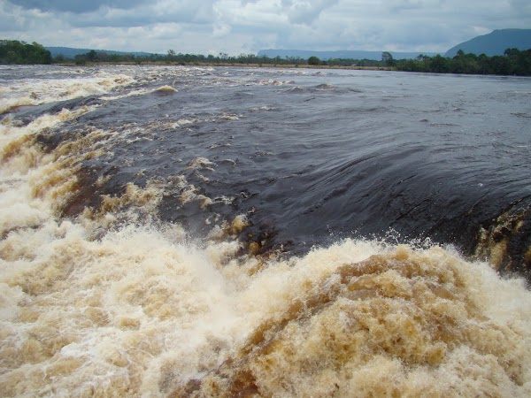 Obiective turistice Venezuela: Apa langa Canaima Lagoon.JPG