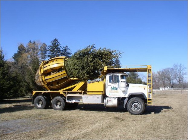 Tree Spade and Transporter 15