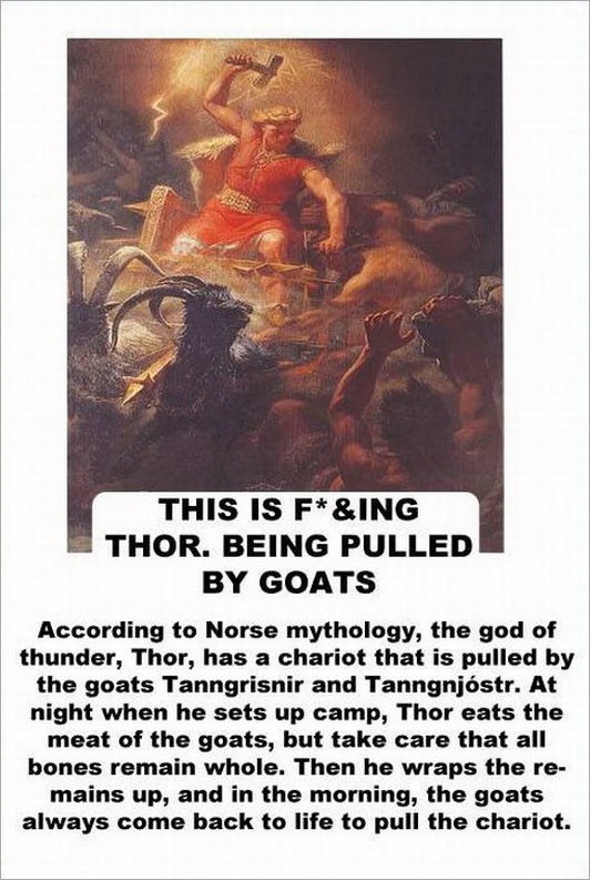 Most Interesting Facts >> Interesting Facts About Goats - Wonders-World.com Most Interesting Facts >> Interesting Facts About Goats - Wonders-World.com