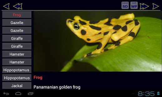 Animal ABC Book Screenshots 4