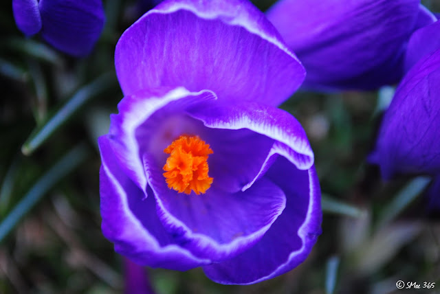NIKON D3000 1/10s Focal Length: 55.0mm f/5.6 ISO: 400