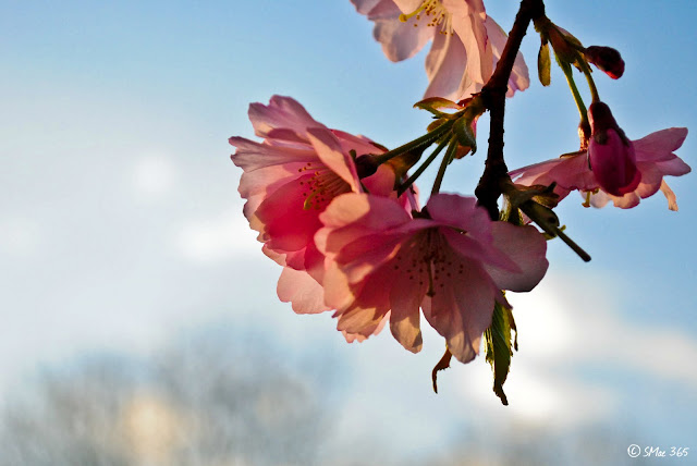 NIKON D3000 1/1600s Focal Length: 45.0mm f/6.3 ISO: 800 (M)