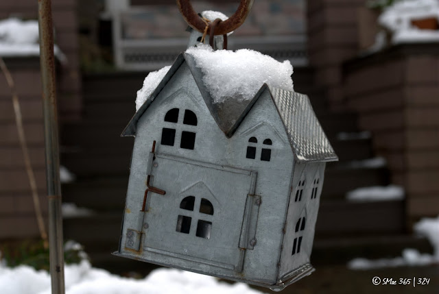 Nikon D3000, 1/50s Focal Length: 48.0mm f/10.0 ISO: 100 (M)