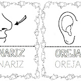 Dibujo3.jpg