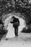 by Lisa Siciliano -  